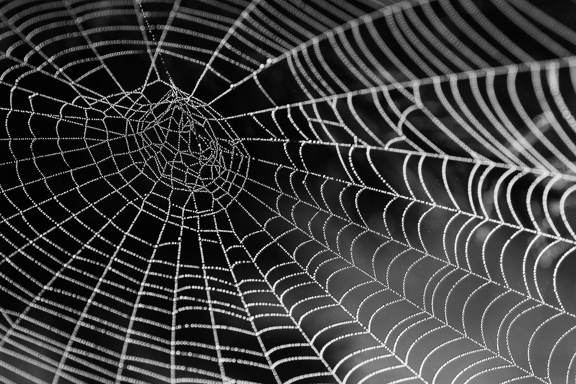 spider web analogy for internet